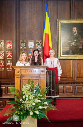 Ziua Națională - Ambasada României, 2014